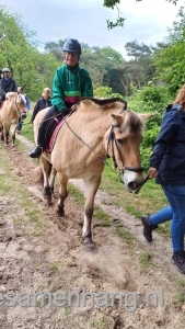 Afbeelding_van_WhatsApp_op_2025-05-29_om_18.56.31_d82d1e8f.jpg